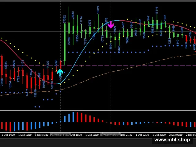 Forex Trading System New1 源码
