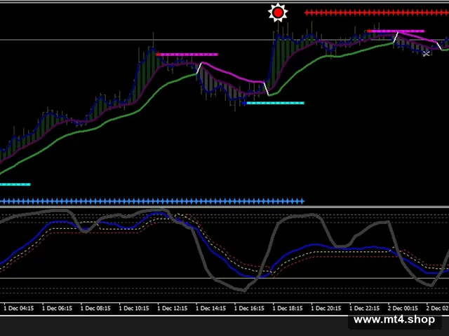 New FX 源码