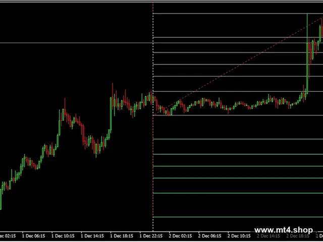 Algo_Plus EA