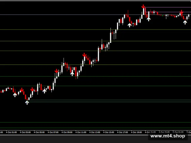 BINARY OPTION strategy 源码