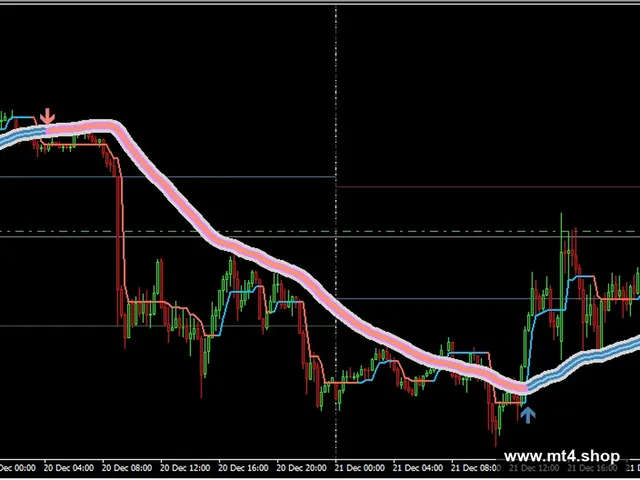 Spider 2023 MT4