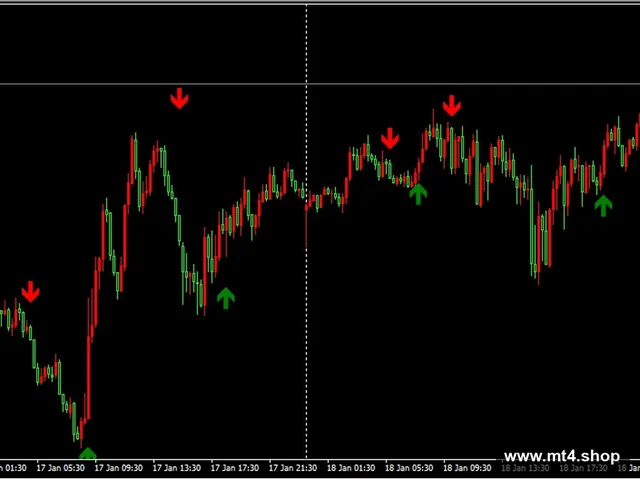 Forex And Binary Scalper X2