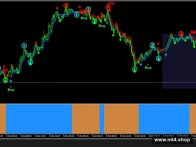 BS-Renko EA