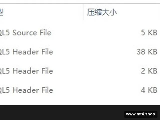 mt5Account Protector 源码