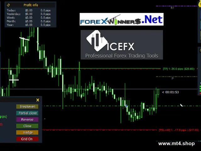 IceFX.TraderAgent.Pro