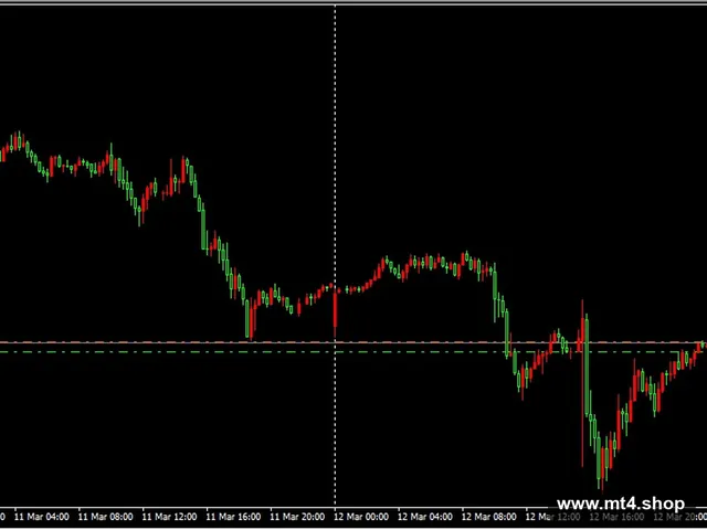 EasyMoney XRay Robot_fix