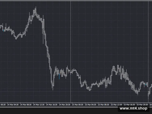 FX SCALPER 4X