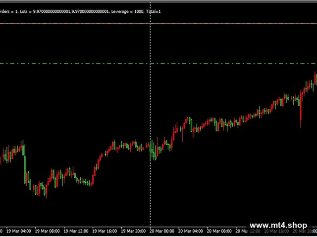 Forex PiP Killer_fix
