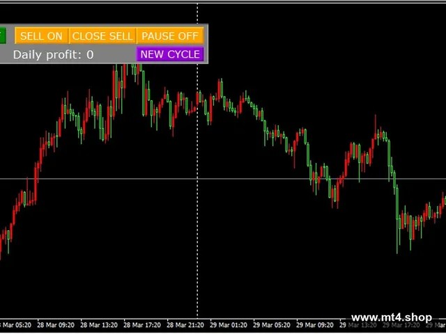 Hamster Scalping_fix