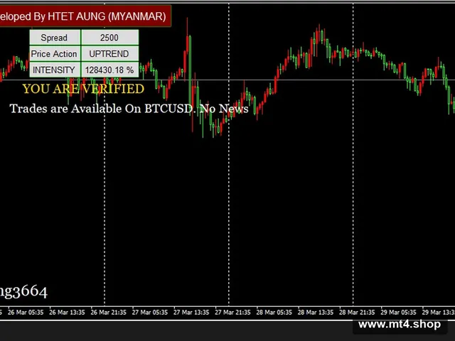 HA-PRO TRADER_fix