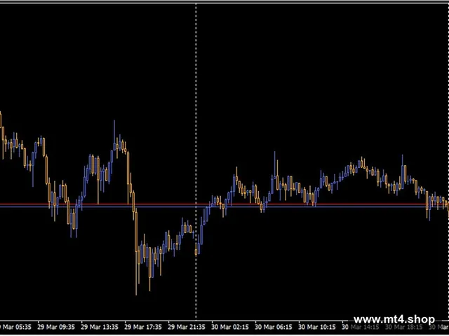 Hippo Trader Pro_fix