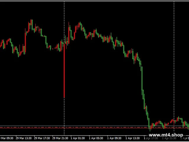 Martingail_Expert_Stochastic_fix