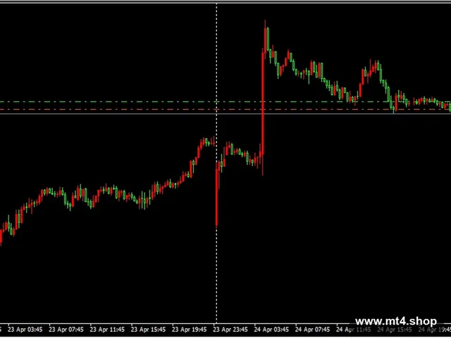 Big Forex Players EA