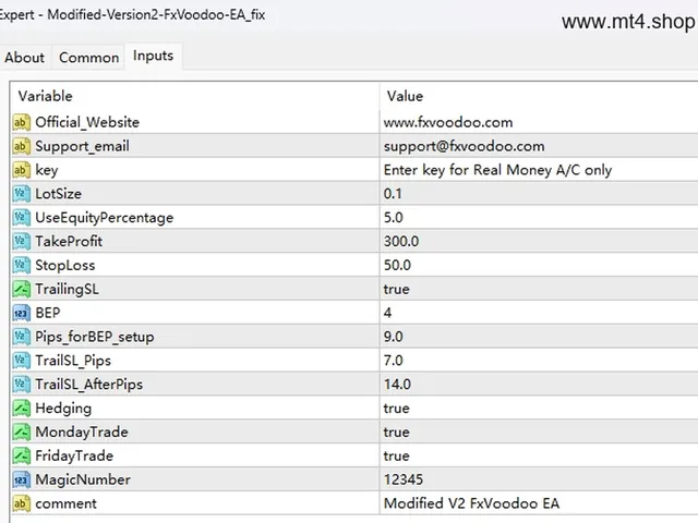 Modified-Version2-FxVoodoo-EA_fix