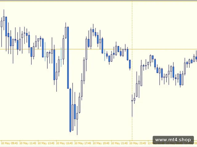 MindTheGap v3.00 源码