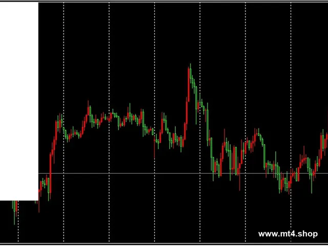 Vision Scalper v5.5_fix