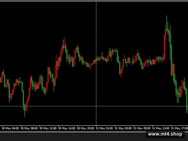 IL BOSS DEL TRADING