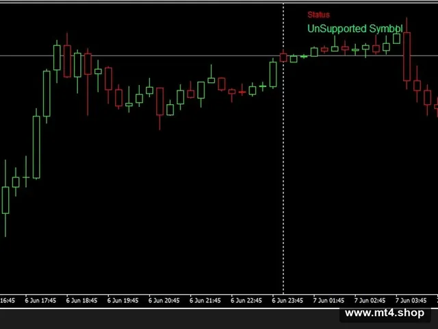 Hedge Scalper EA 24_fix