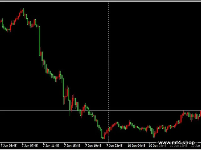 Ninja_Forex-6