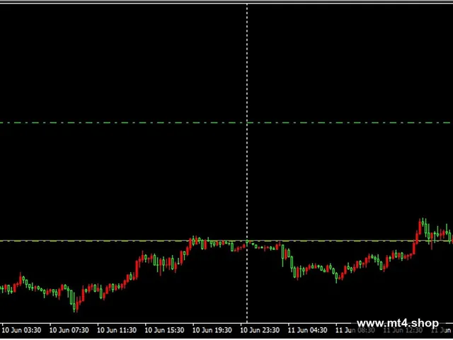 EasyMoney XRay Robot_fix_fix