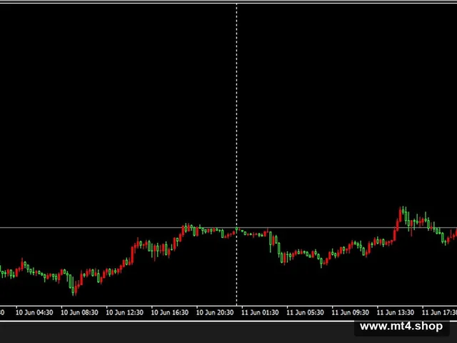 Trade Explorer_fix_1420