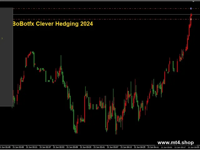 BoBotfx Clever Hedging 2024 v2.1