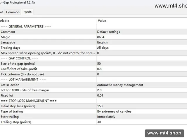 Gap Professional 1.2_fix