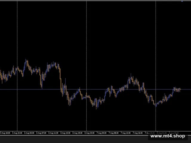 Hippo Trader Pro_3.1_fix