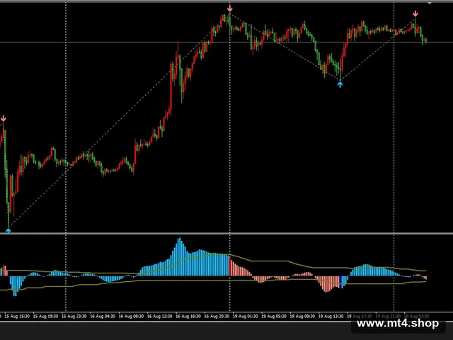 Elliot Oscillator Waves 1.05 MTF (btn)