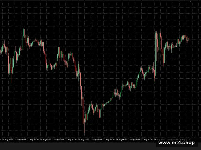 HFT Secret 1.0_fix