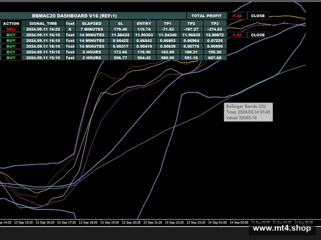 BBMAC20 DASHBOARD TRADING SYSTEM v16.6 МТ4
