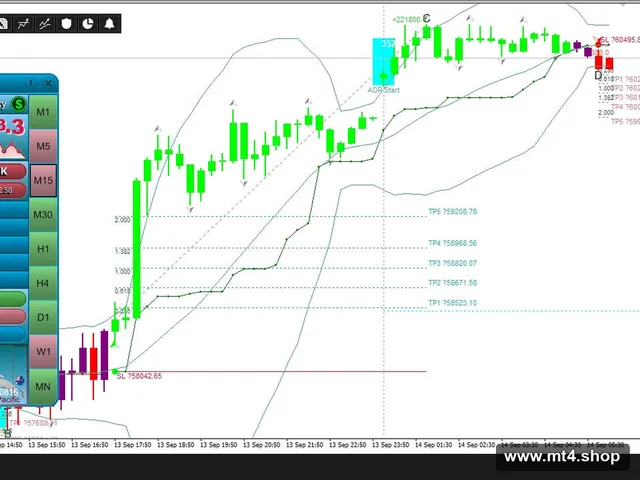 Professional Trader