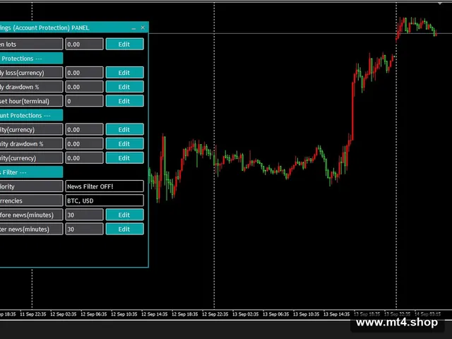 Infinity Trader EA_1.5_fix