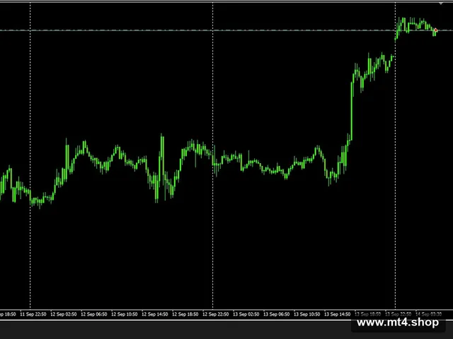 Black Wolf EA[XAUUSD][H1]