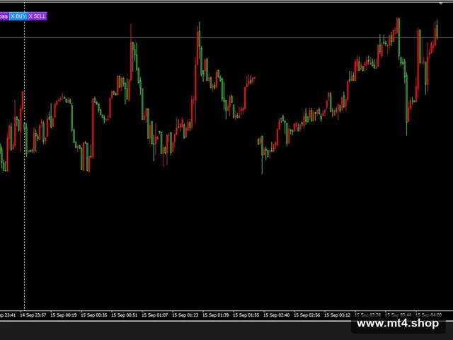 Bitcoin Wizard MT4 v1.8 1421+