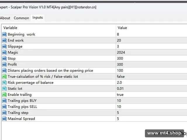 Scalper Pro Vision V1.0 MT4[Any pairs][H1]