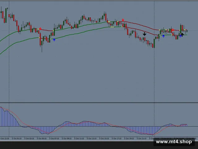 The Black Dog Trading System 源码