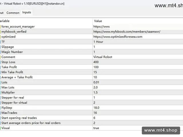 Virtual Robot v 1.10[EURUSD][H1]