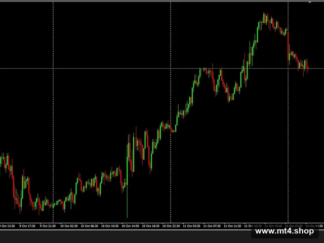The king Hedging Forex_2.0