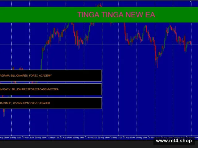 TINGA TINGA NEW EA