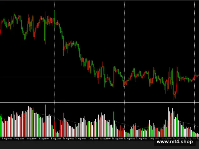 Hawkeye volume Indicator V1.0 MT4