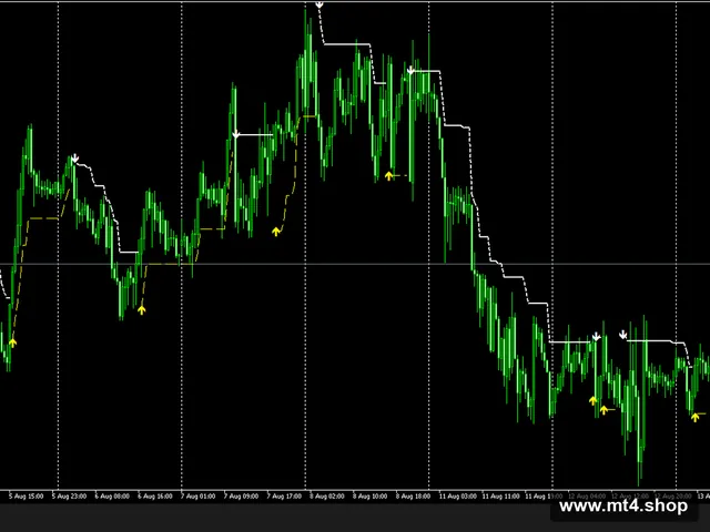 FireBird Pro Indicator V1.20 MT5
