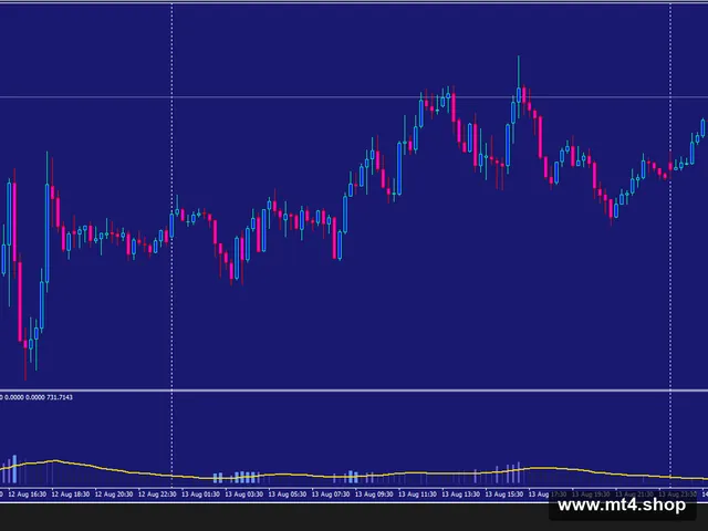 SCALPING PLUS Indicators MT4