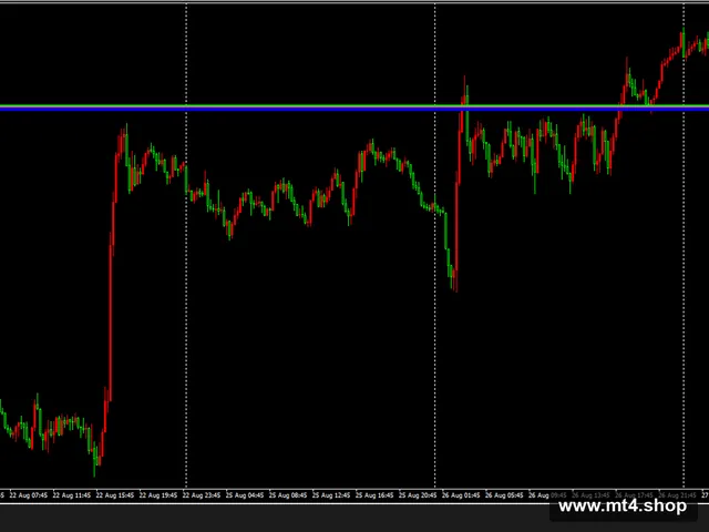 TPS Hedging Power EA 3.0