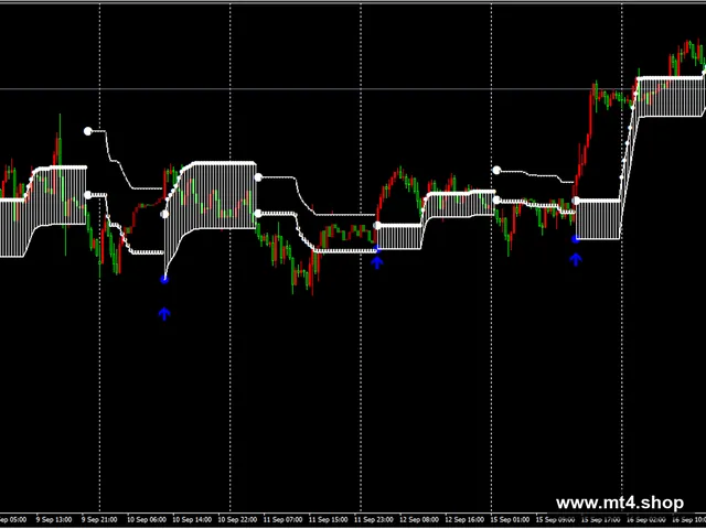 FX VECTOR Entry1