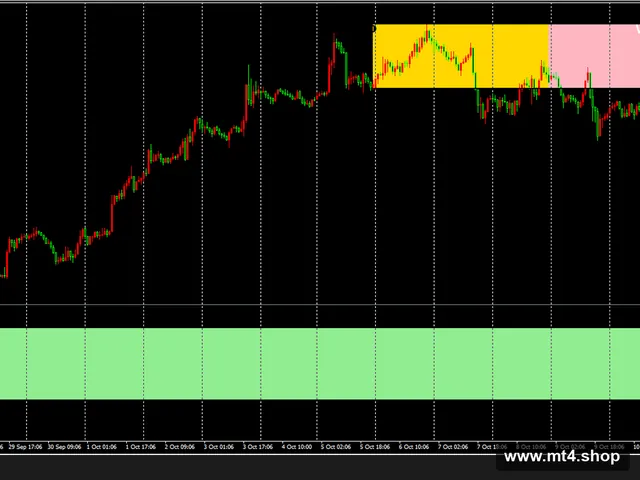 Institutional Order Flow