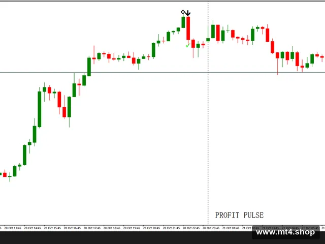 PROFIT PULSE