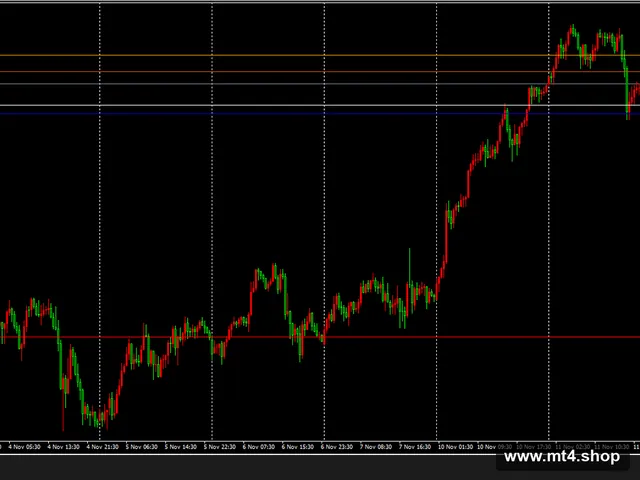 Dracula Forex Robot V _II 源码