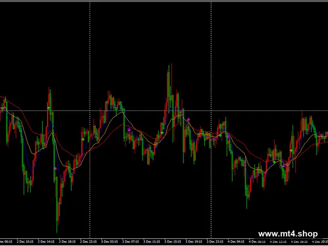 Triple EMA 2025 源码