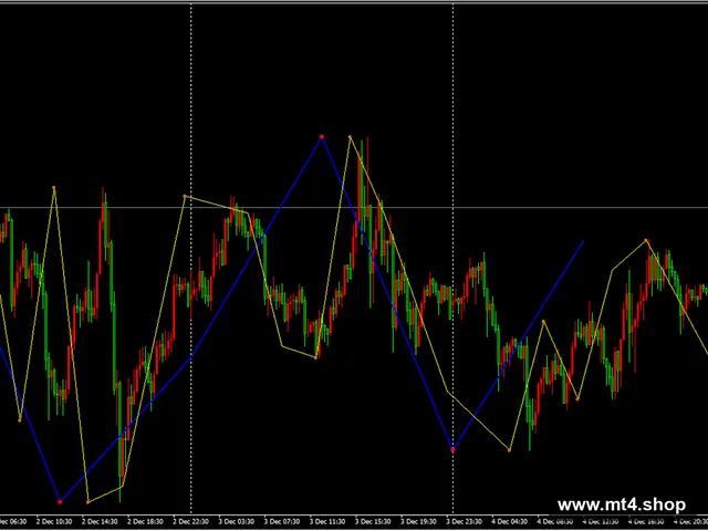 FX5 Neely Elliot Wave V1.2